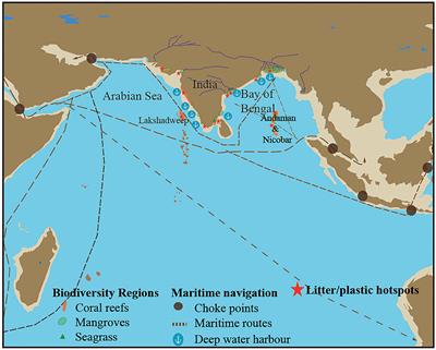 Potential Plastic Accumulation Zones in the Indian Coastal Seas